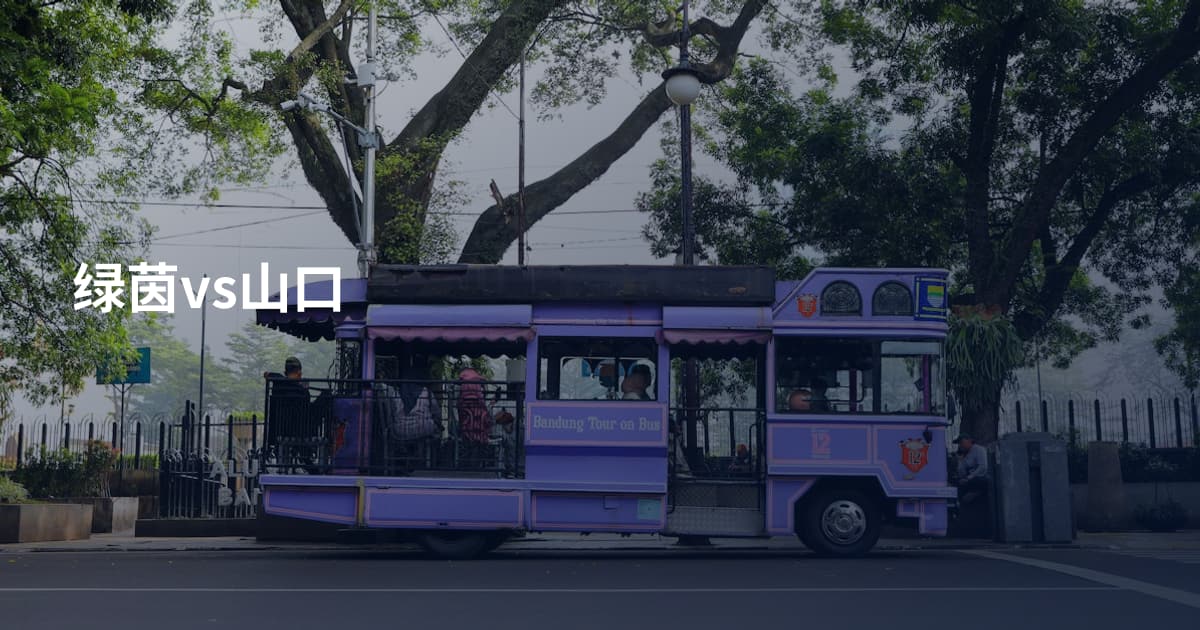 绿茵vs山口