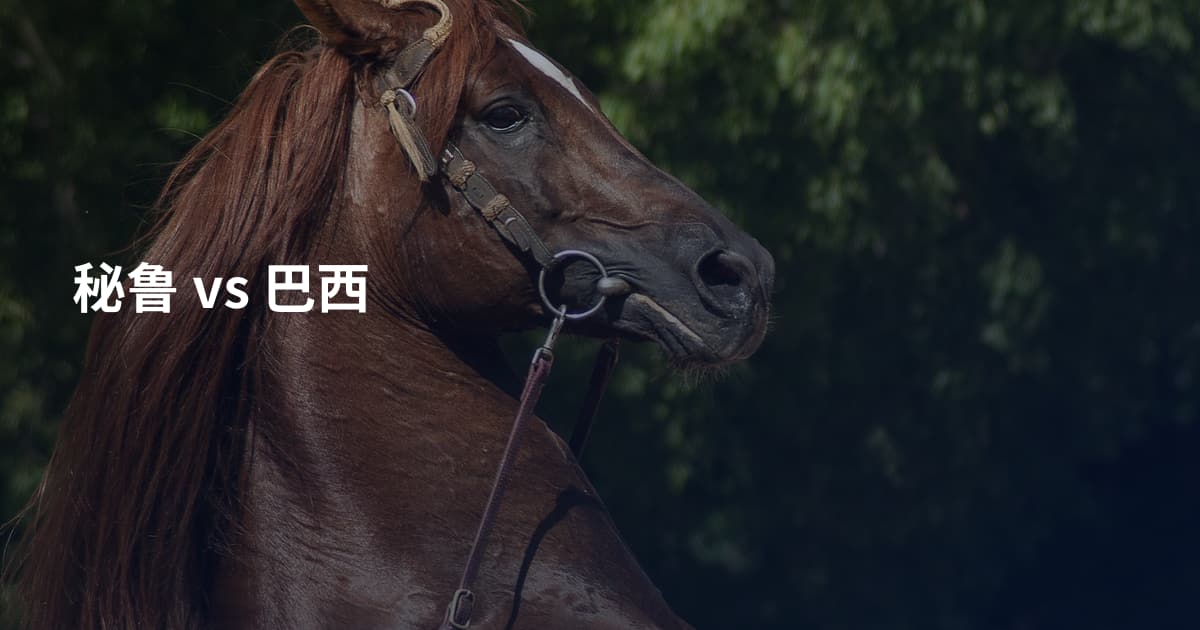 秘鲁 vs 巴西