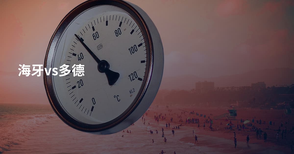 海牙vs多德