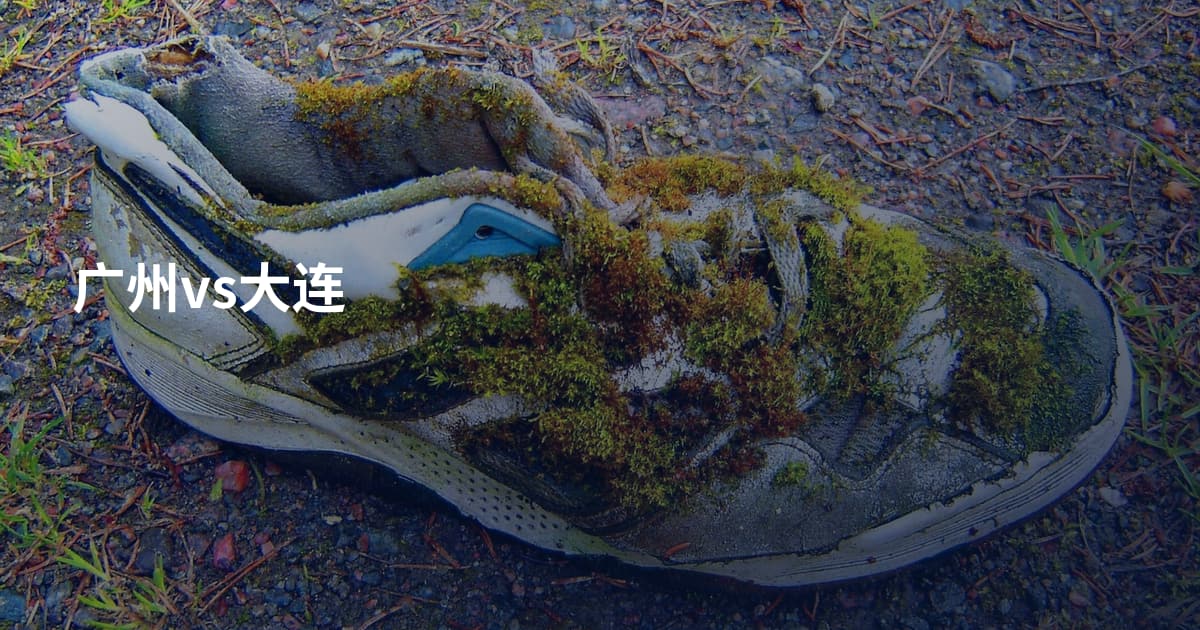 广州vs大连