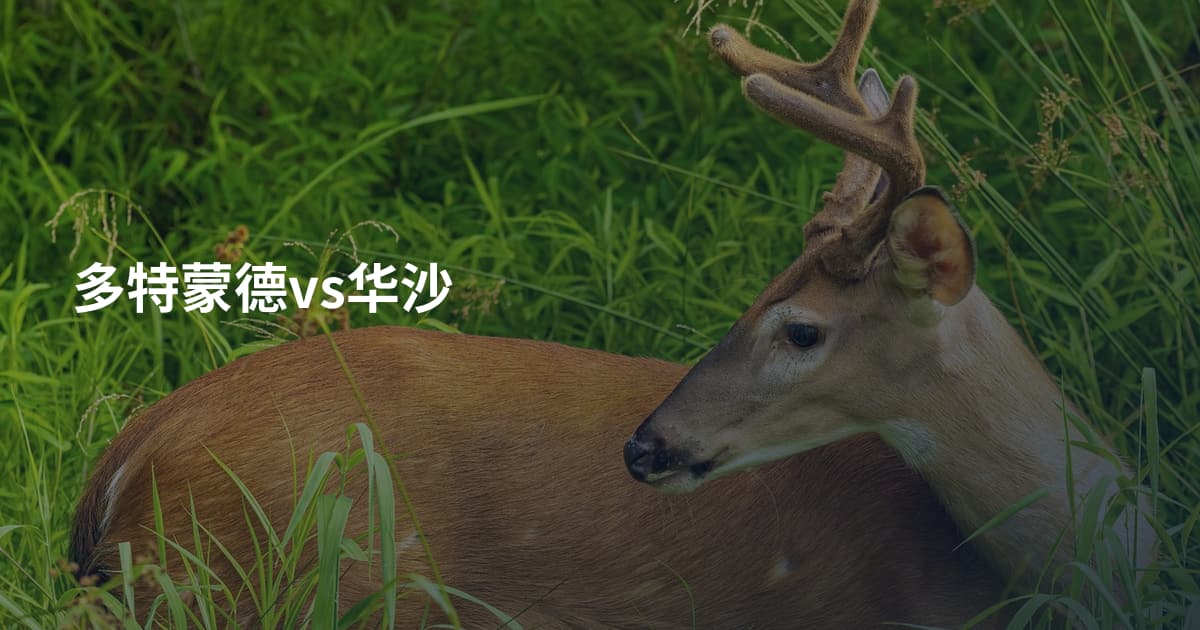 多特蒙德vs华沙