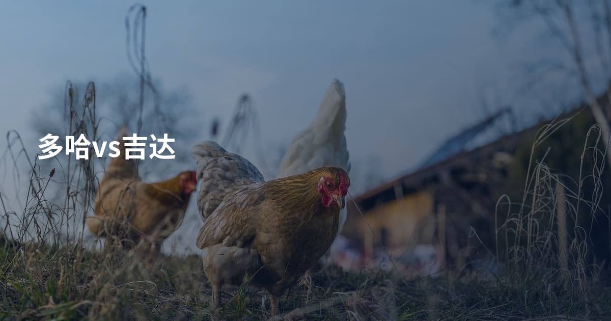 多哈vs吉达