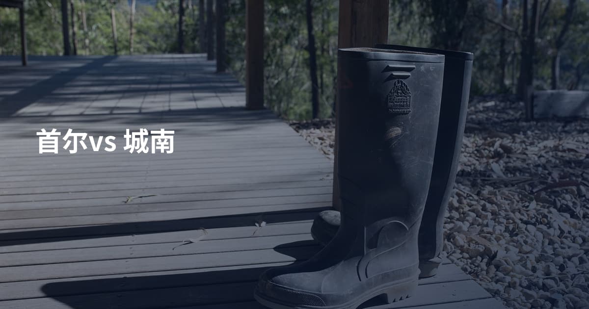 首尔vs 城南