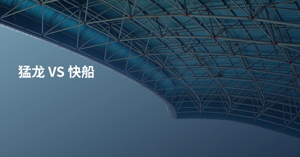 猛龙 VS 快船