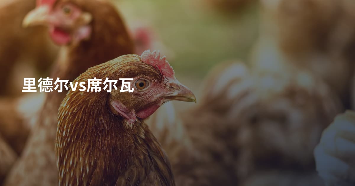 里德尔vs席尔瓦