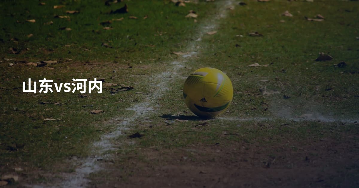 山东vs河内