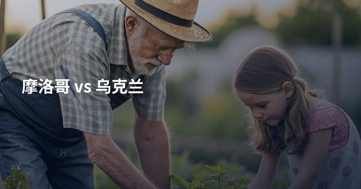 摩洛哥 vs 乌克兰