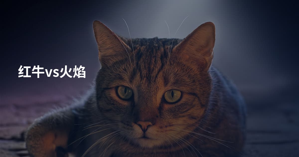 红牛vs火焰