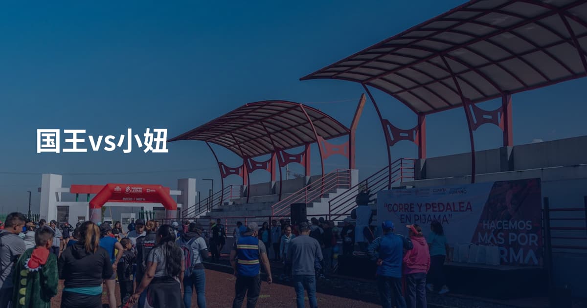 国王vs小妞