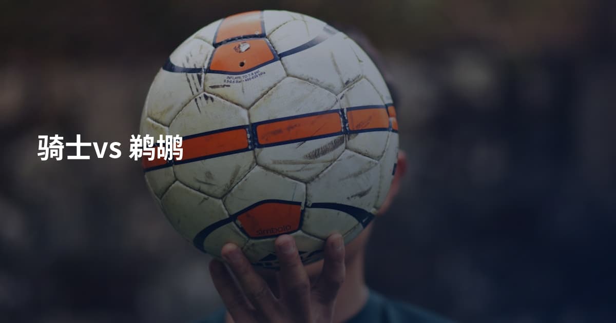 骑士vs 鹈鹕