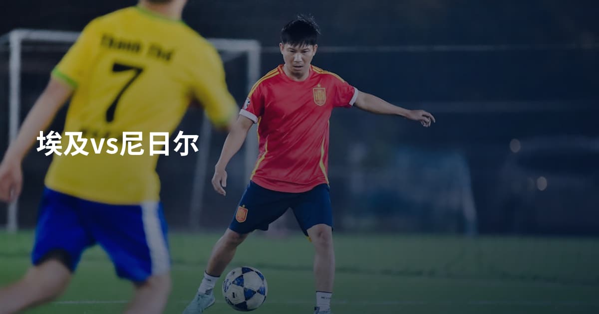 埃及vs尼日尔