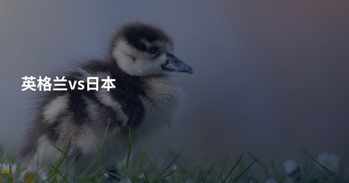 英格兰vs日本