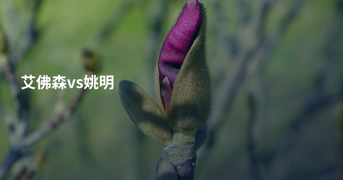 艾佛森vs姚明