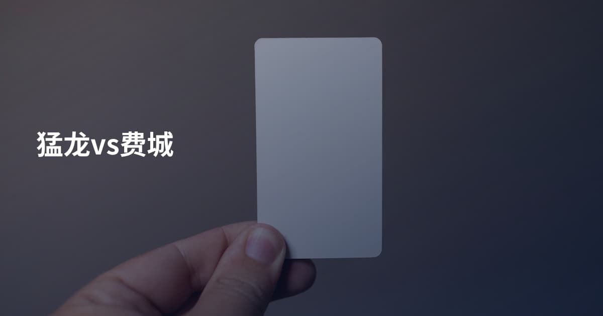猛龙vs费城