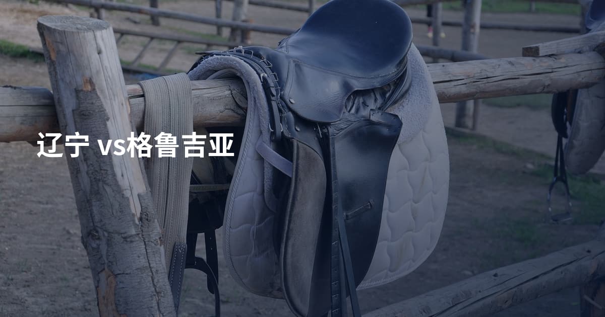 辽宁 vs格鲁吉亚