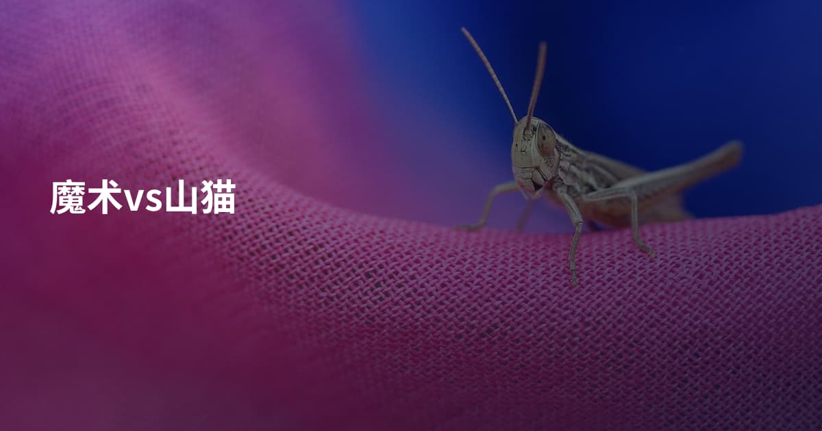 魔术vs山猫