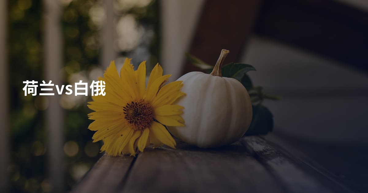 荷兰vs白俄