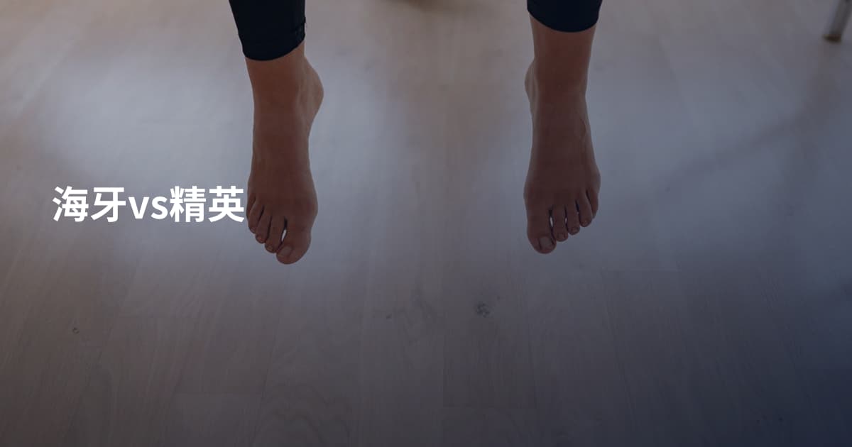 海牙vs精英