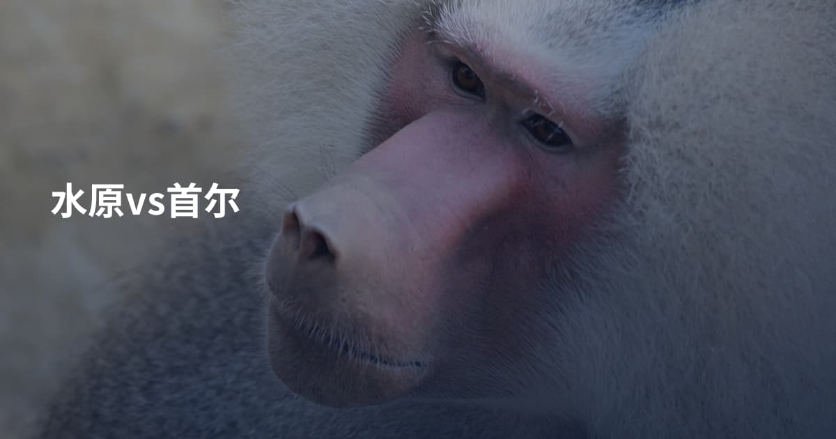 水原vs首尔