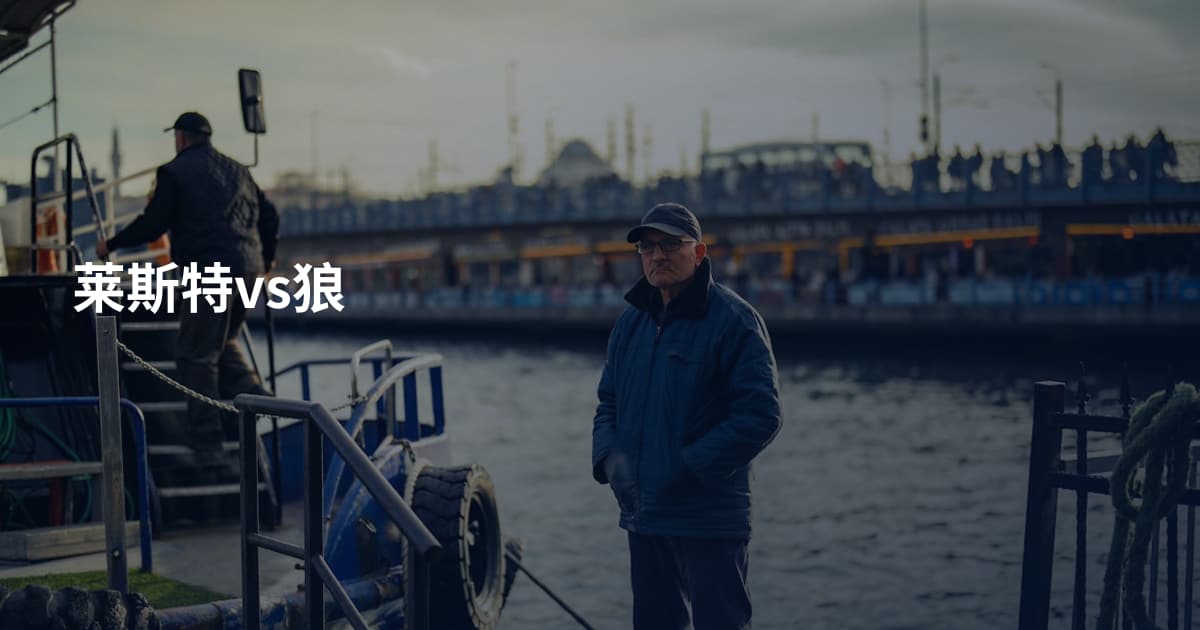 莱斯特vs狼