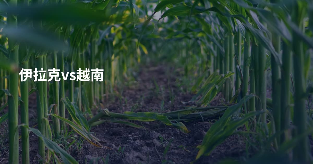 伊拉克vs越南