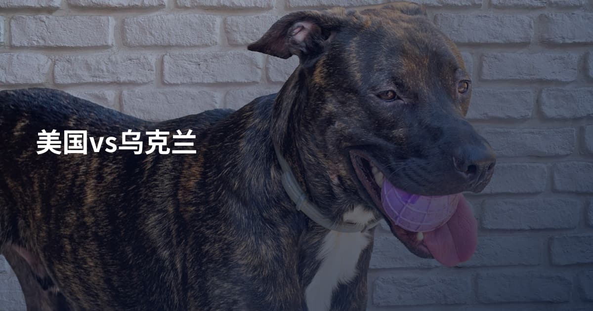 美国vs乌克兰