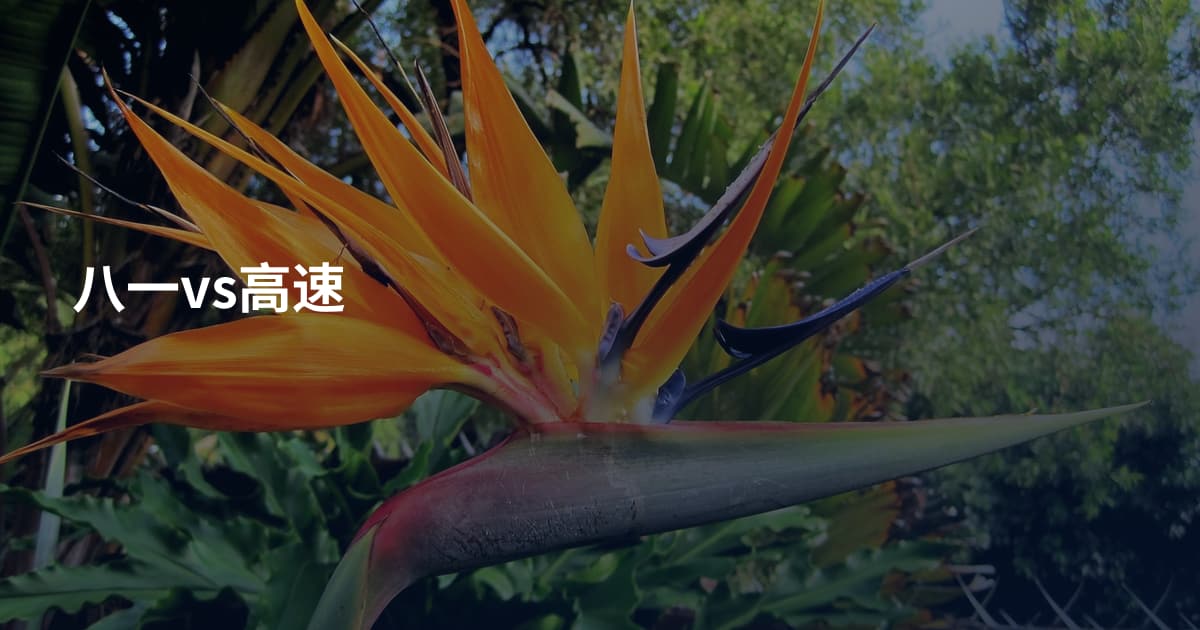 八一vs高速