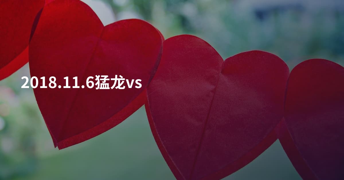 2018.11.6猛龙vs