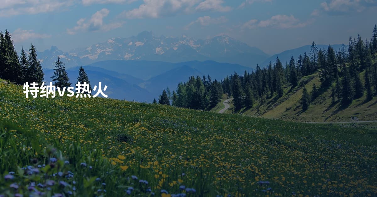 特纳vs热火