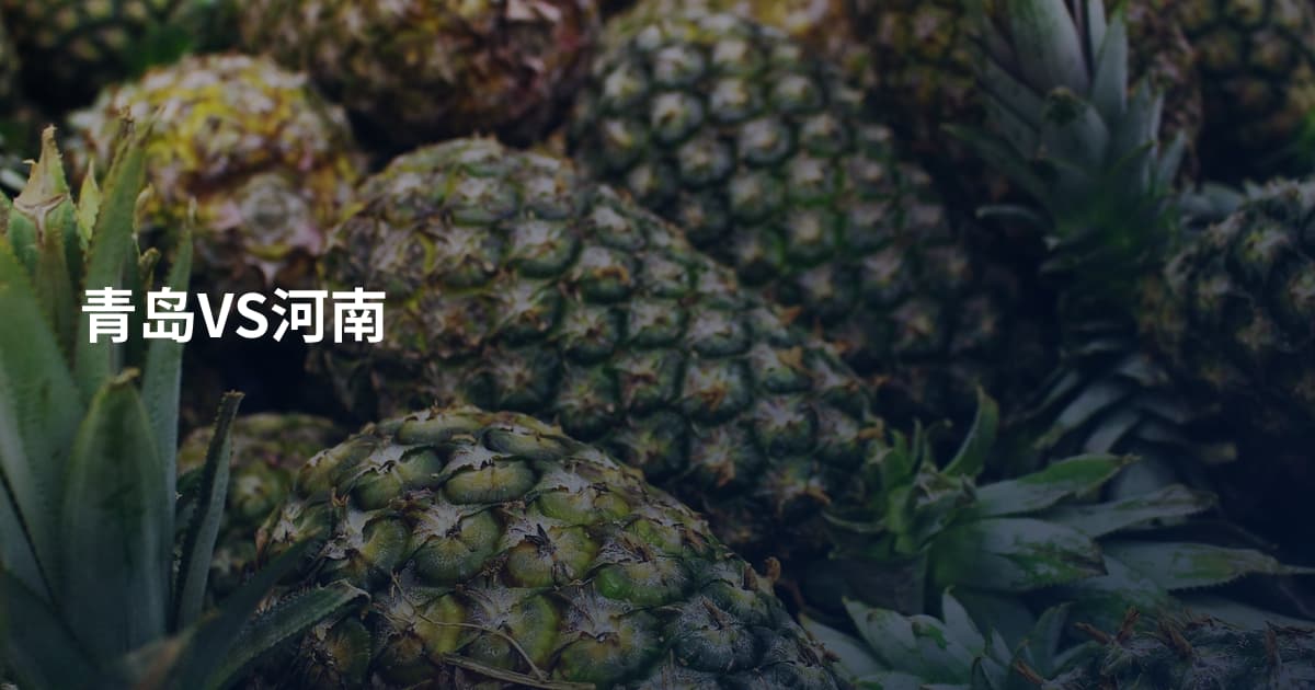青岛VS河南