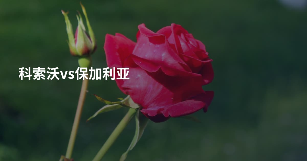 科索沃vs保加利亚