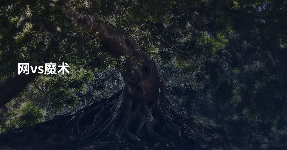 网vs魔术