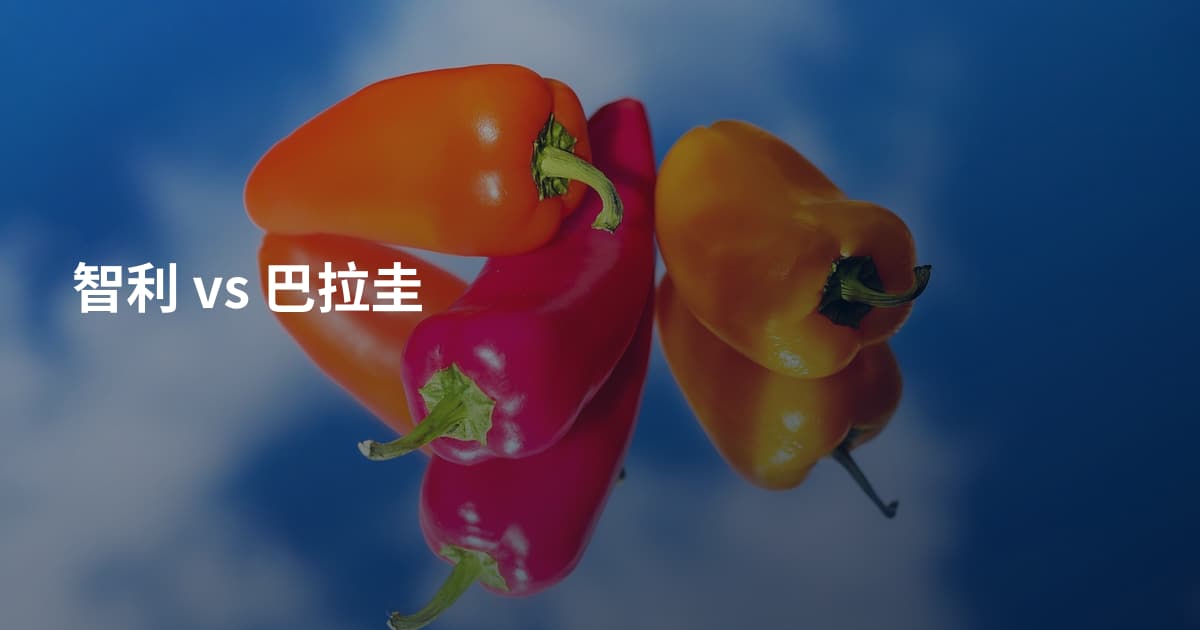 智利 vs 巴拉圭
