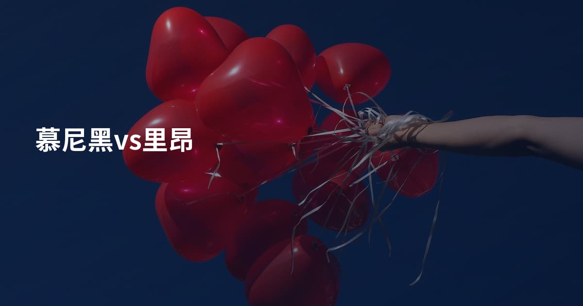 慕尼黑vs里昂