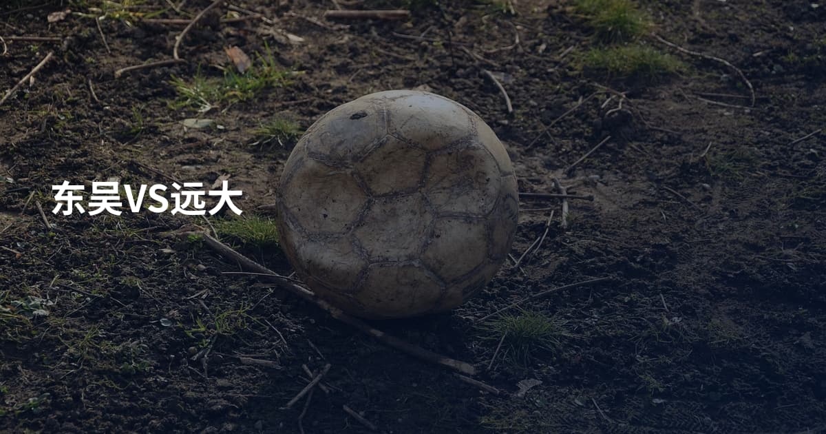 东吴VS远大