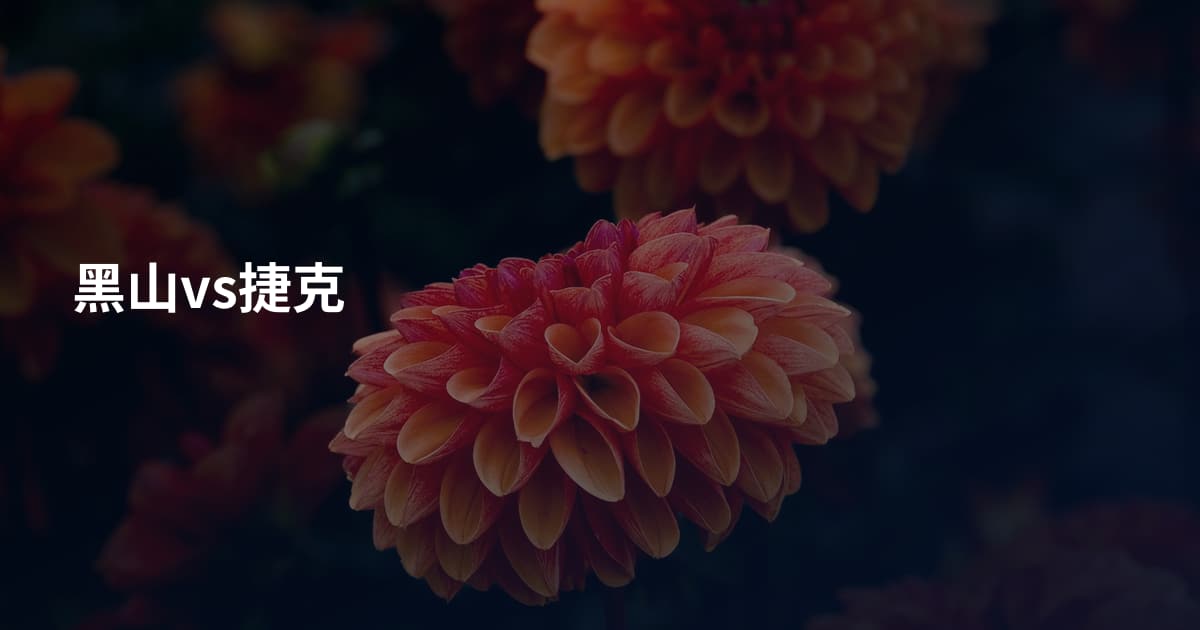 黑山vs捷克