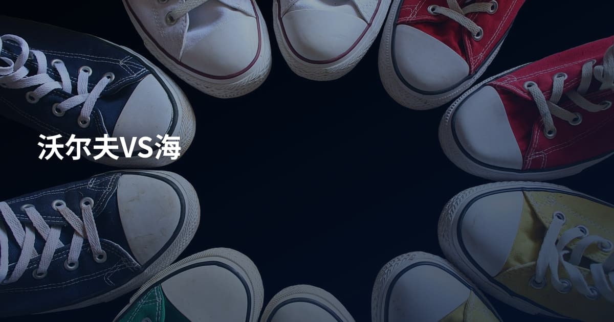 沃尔夫VS海