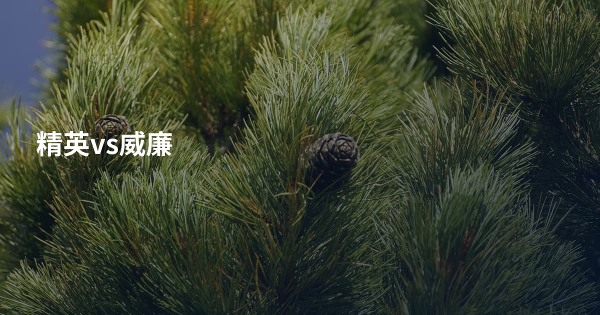 精英vs威廉
