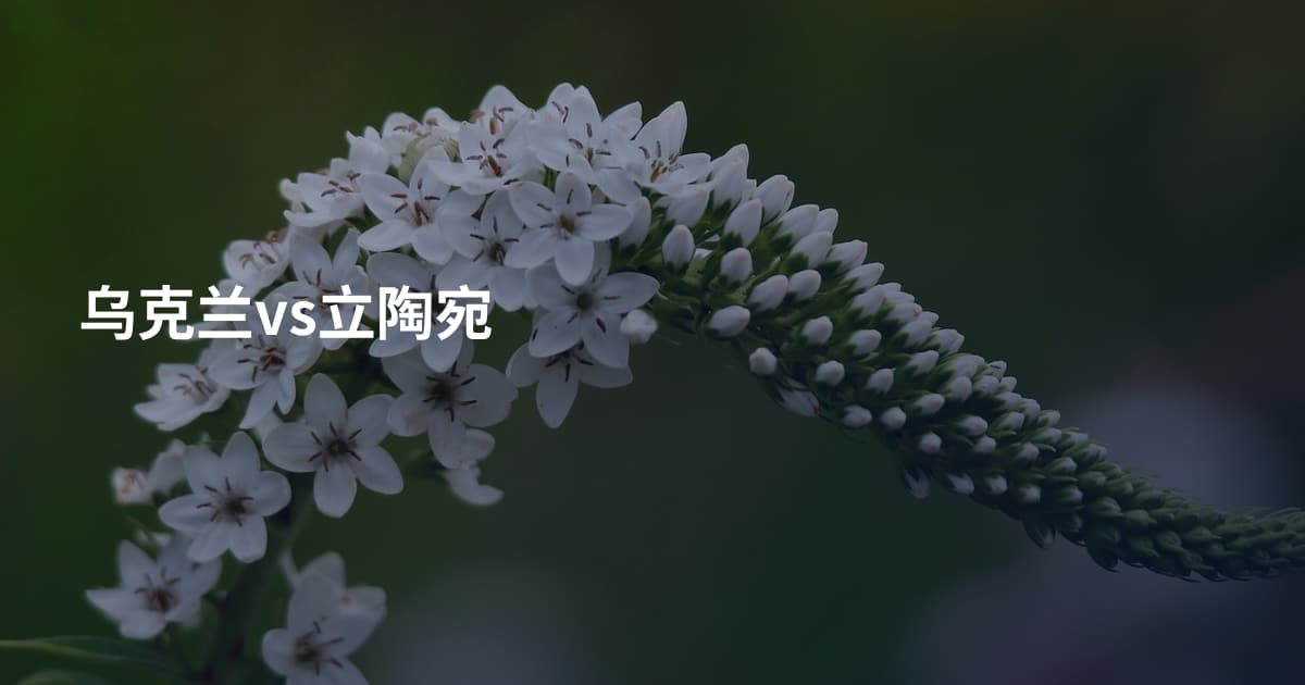 乌克兰vs立陶宛