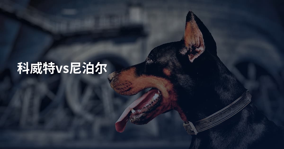科威特vs尼泊尔