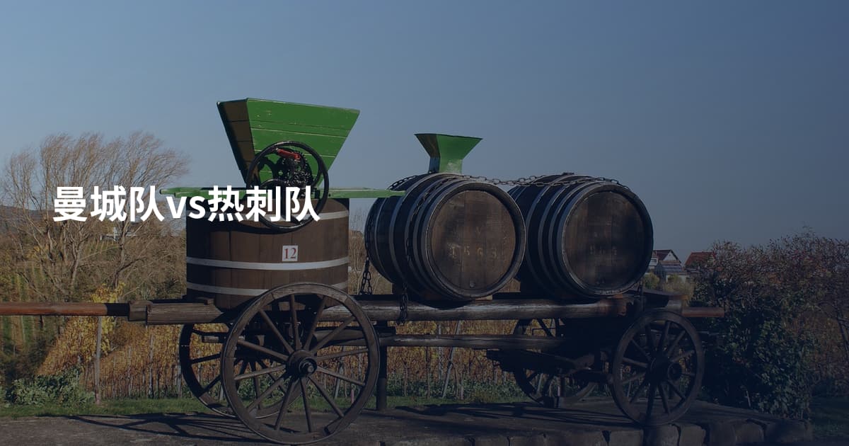 曼城队vs热刺队