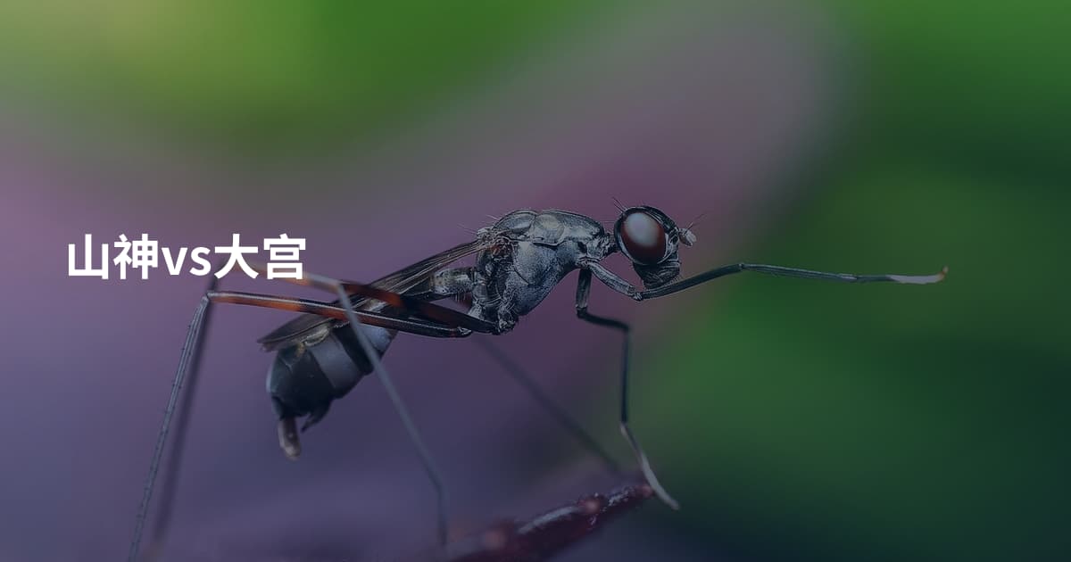 山神vs大宫