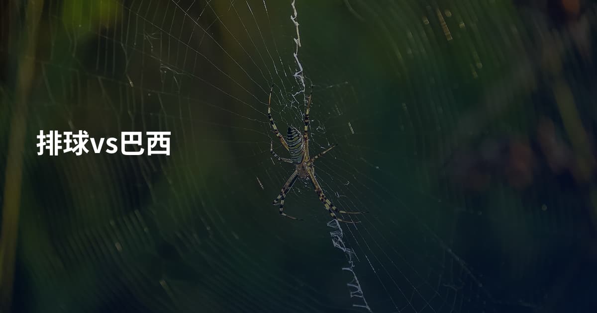 排球vs巴西