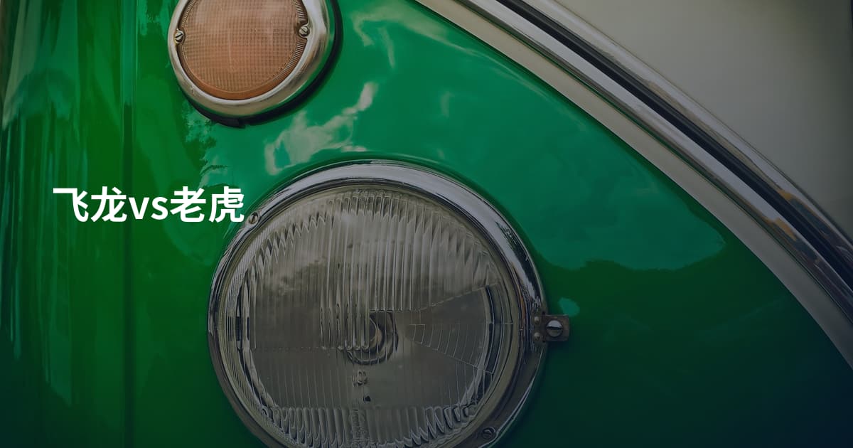 飞龙vs老虎