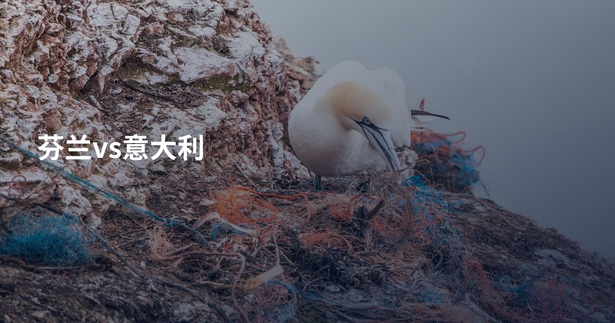 芬兰vs意大利