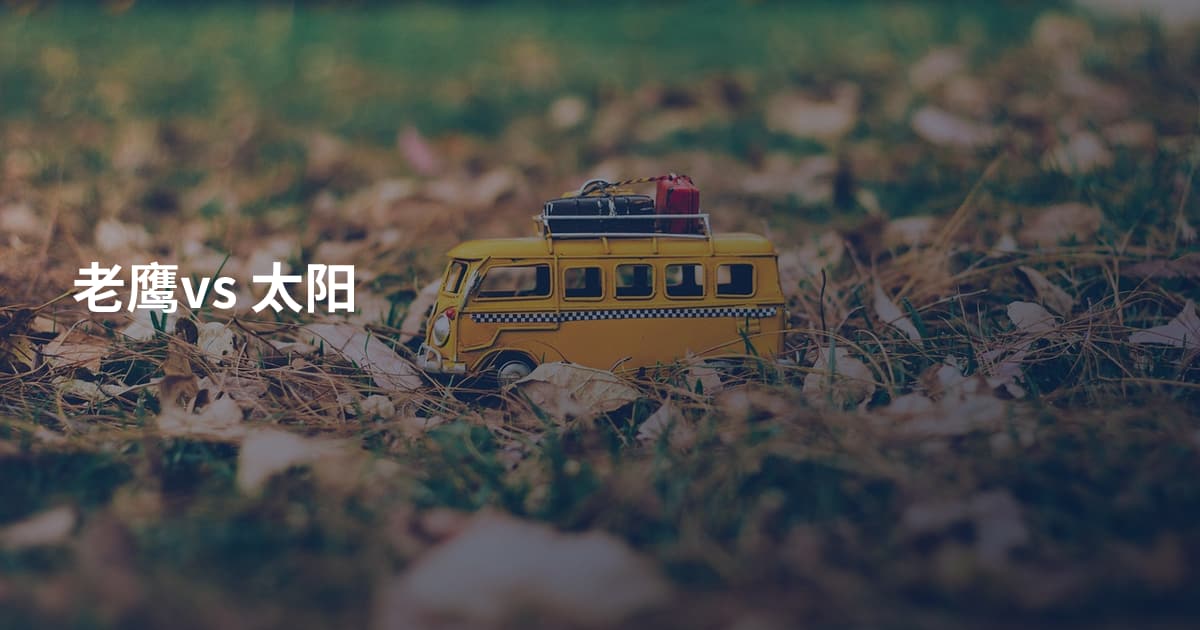 老鹰vs 太阳