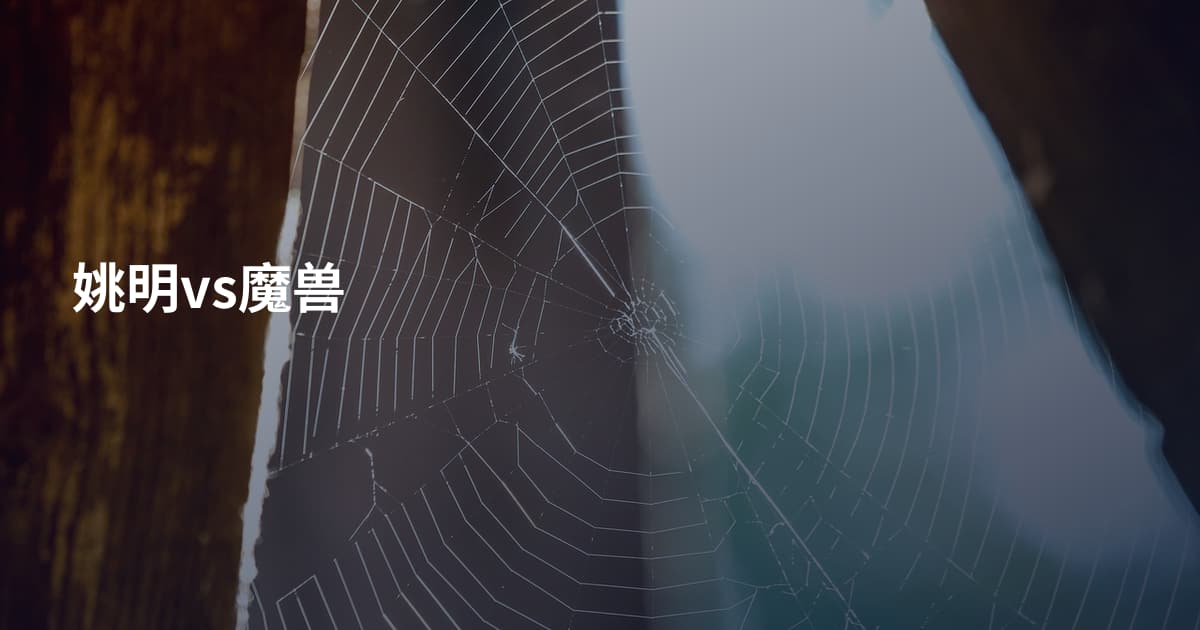 姚明vs魔兽