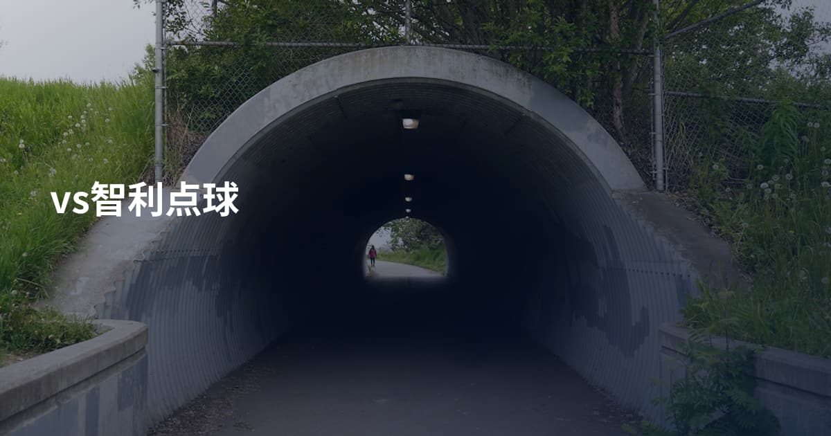 vs智利点球