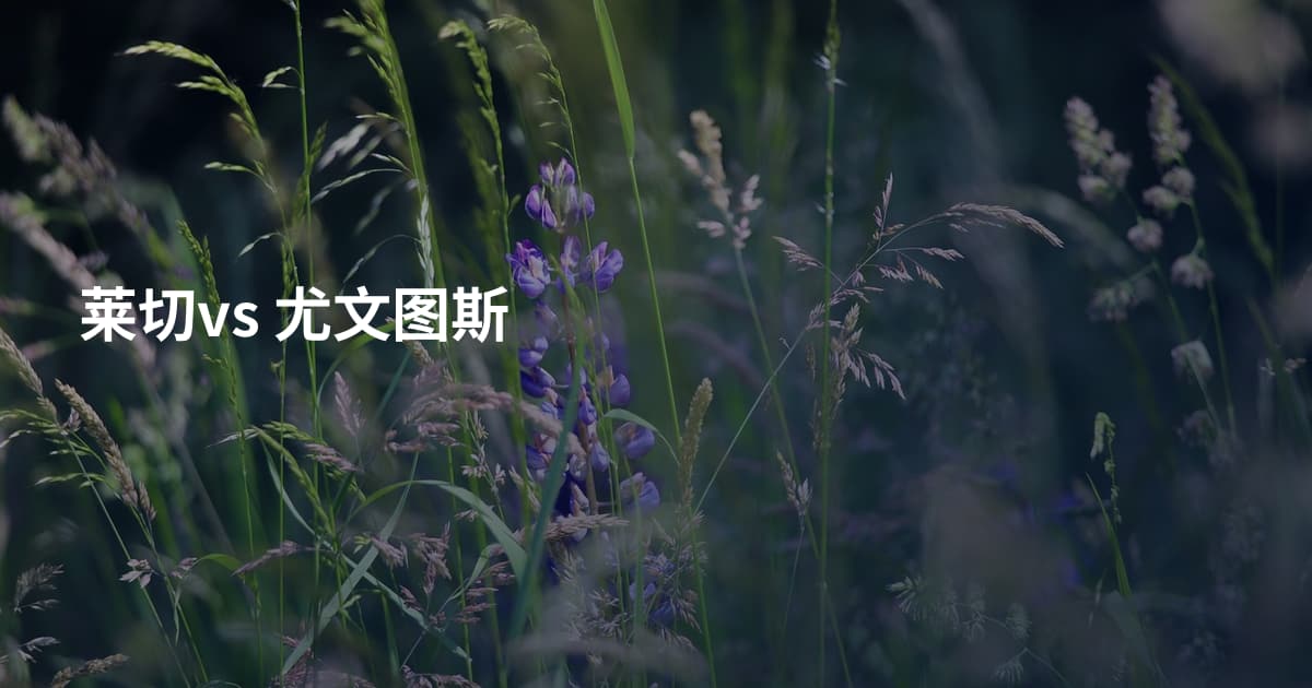莱切vs 尤文图斯