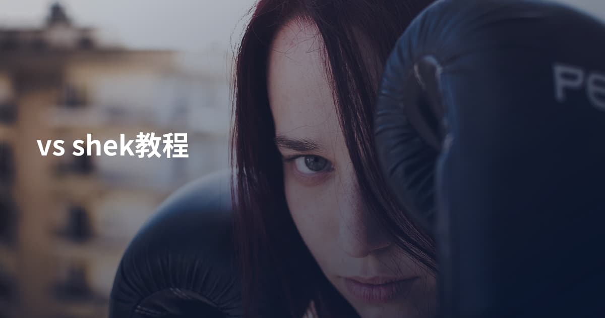 vs shek教程